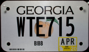 GEORGIA 2020 WTE715