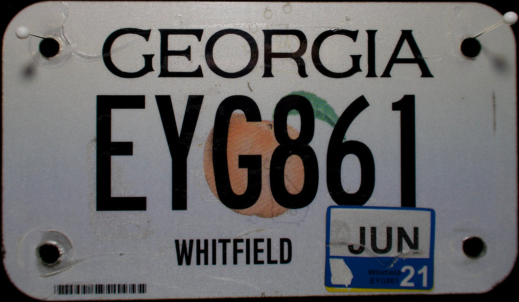 GEORGIA 2021 EYG861